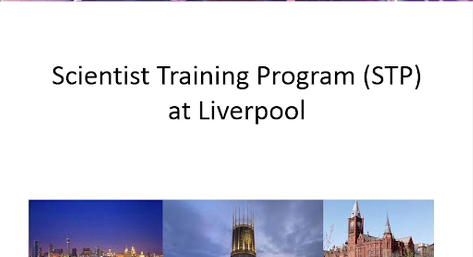 Team workshop training